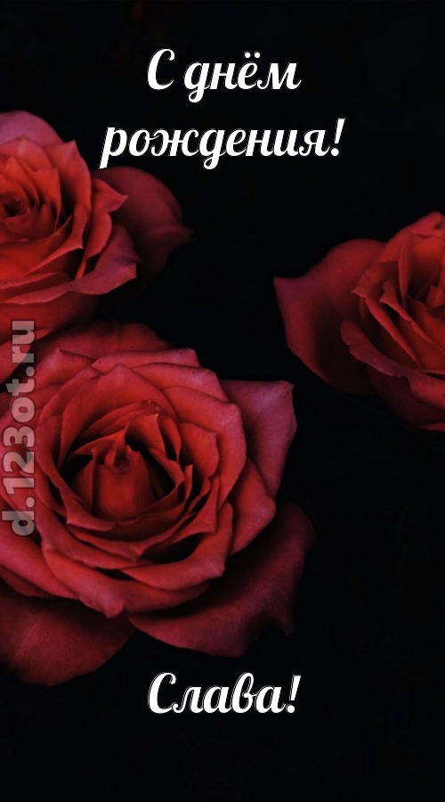 непосредственная открытка с днём рождения слава, скачать онлайн бесплатно на iphone для вацап, поздравление слава