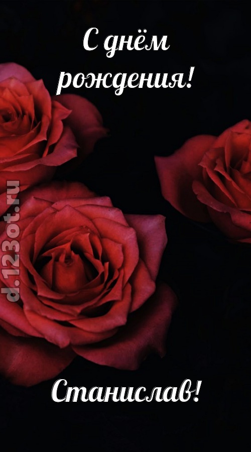 непосредственная открытка с днём рождения станислав, скачать онлайн бесплатно на iphone для вацап, поздравление станислав