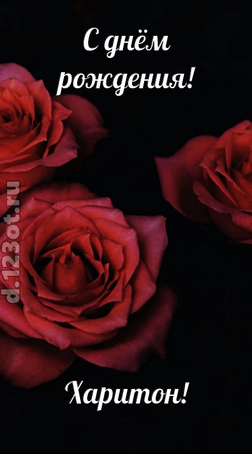 непосредственная открытка с днём рождения харитон, скачать онлайн бесплатно на iphone для вацап, поздравление харитон