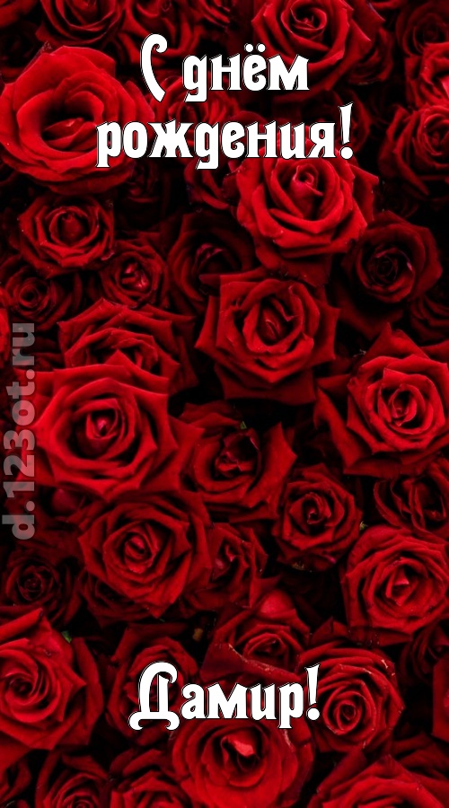 непостижимая открытка с днём рождения дамир, скачать онлайн бесплатно на iphone для вацап, поздравление дамир