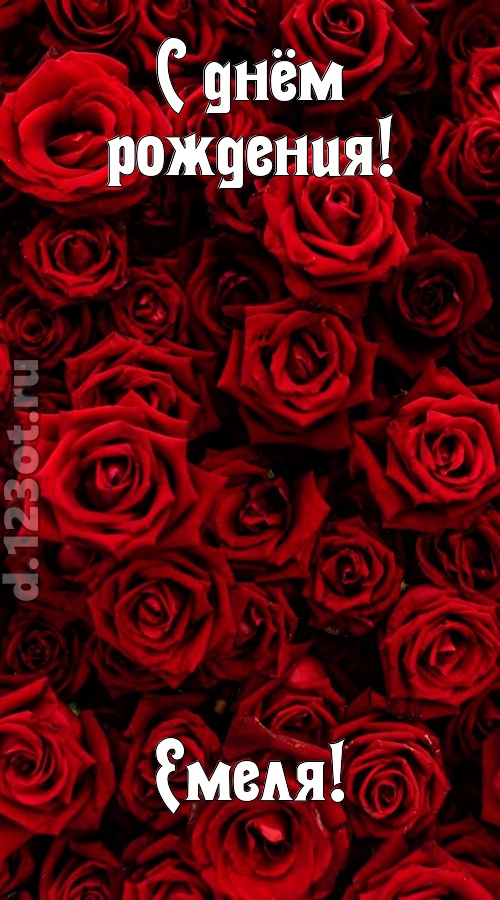 непостижимая открытка с днём рождения емеля, скачать онлайн бесплатно на iphone для вацап, поздравление емеля