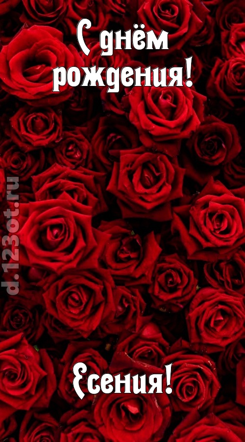 непостижимая открытка с днём рождения есения, скачать онлайн бесплатно на iphone для вацап, поздравление есения