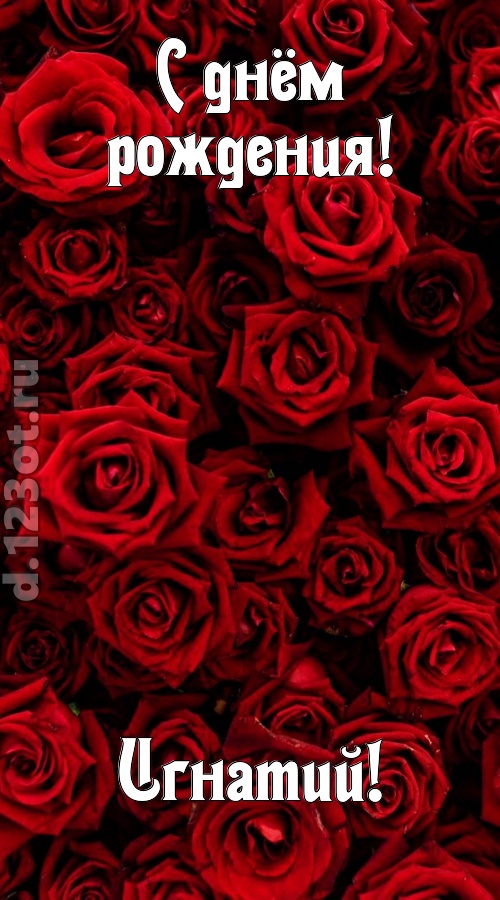 непостижимая открытка с днём рождения игнатий, скачать онлайн бесплатно на iphone для вацап, поздравление игнатий