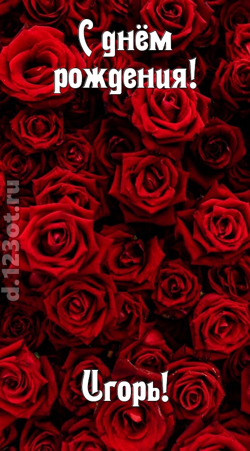 непостижимая открытка с днём рождения игорь, скачать онлайн бесплатно на iphone для вацап, поздравление игорь