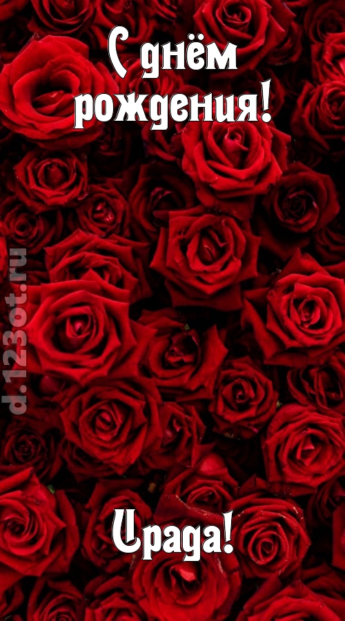 непостижимая открытка с днём рождения ирада, скачать онлайн бесплатно на iphone для вацап, поздравление ирада