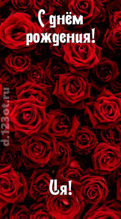 непостижимая открытка с днём рождения ия, скачать онлайн бесплатно на iphone для вацап, поздравление ия