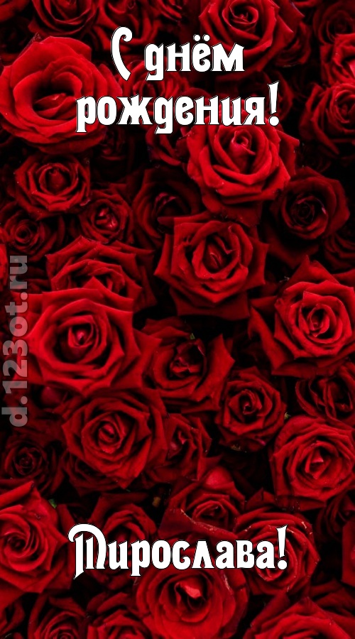 непостижимая открытка с днём рождения мирослава, скачать онлайн бесплатно на iphone для вацап, поздравление мирослава