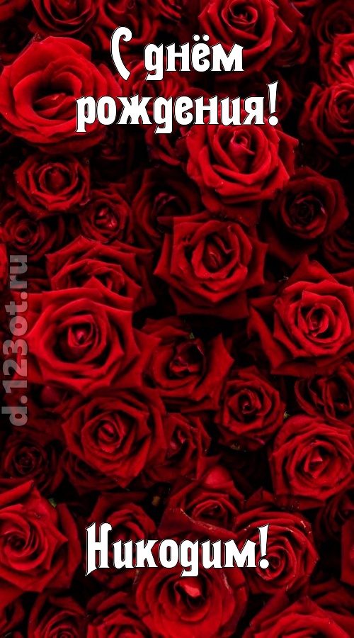 непостижимая открытка с днём рождения никодим, скачать онлайн бесплатно на iphone для вацап, поздравление никодим