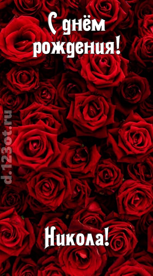 непостижимая открытка с днём рождения никола, скачать онлайн бесплатно на iphone для вацап, поздравление никола