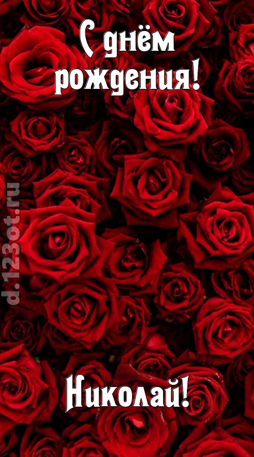 непостижимая открытка с днём рождения николай, скачать онлайн бесплатно на iphone для вацап, поздравление николай