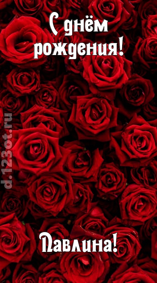 непостижимая открытка с днём рождения павлина, скачать онлайн бесплатно на iphone для вацап, поздравление павлина