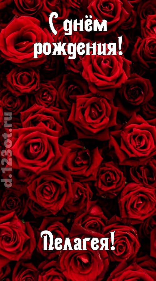 непостижимая открытка с днём рождения пелагея, скачать онлайн бесплатно на iphone для вацап, поздравление пелагея