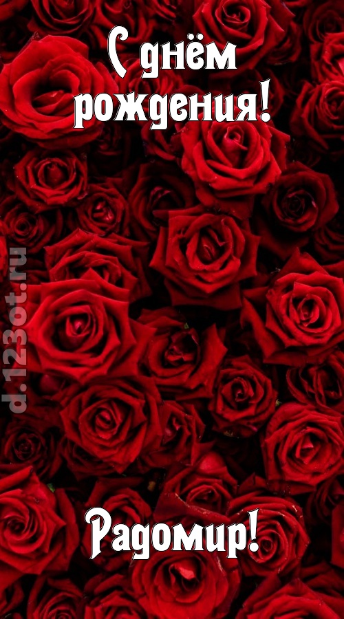 непостижимая открытка с днём рождения радомир, скачать онлайн бесплатно на iphone для вацап, поздравление радомир