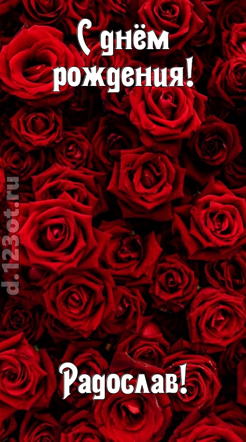 непостижимая открытка с днём рождения радослав, скачать онлайн бесплатно на iphone для вацап, поздравление радослав