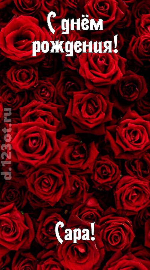 непостижимая открытка с днём рождения сара, скачать онлайн бесплатно на iphone для вацап, поздравление сара