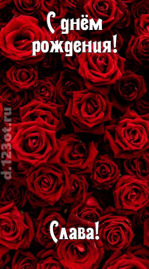 непостижимая открытка с днём рождения слава, скачать онлайн бесплатно на iphone для вацап, поздравление слава