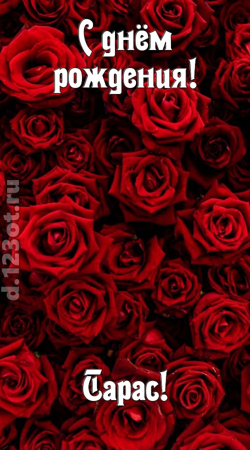 непостижимая открытка с днём рождения тарас, скачать онлайн бесплатно на iphone для вацап, поздравление тарас