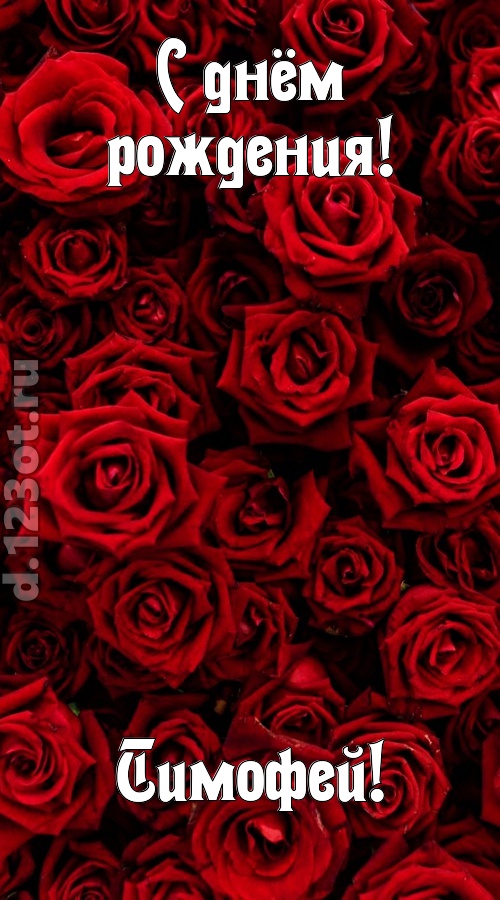 непостижимая открытка с днём рождения тимофей, скачать онлайн бесплатно на iphone для вацап, поздравление тимофей