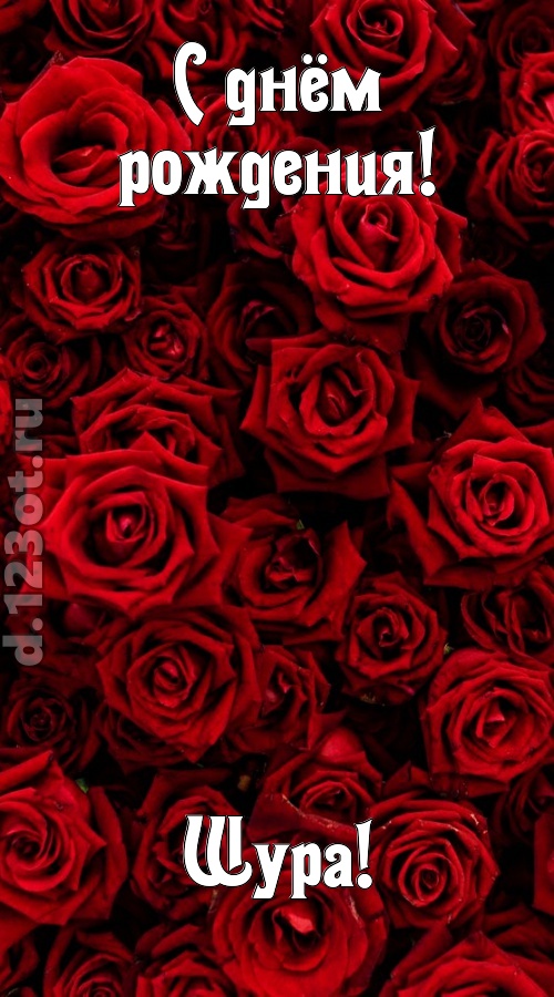 непостижимая открытка с днём рождения шура, скачать онлайн бесплатно на iphone для вацап, поздравление шура