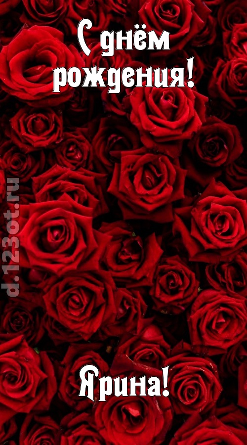 непостижимая открытка с днём рождения ярина, скачать онлайн бесплатно на iphone для вацап, поздравление ярина