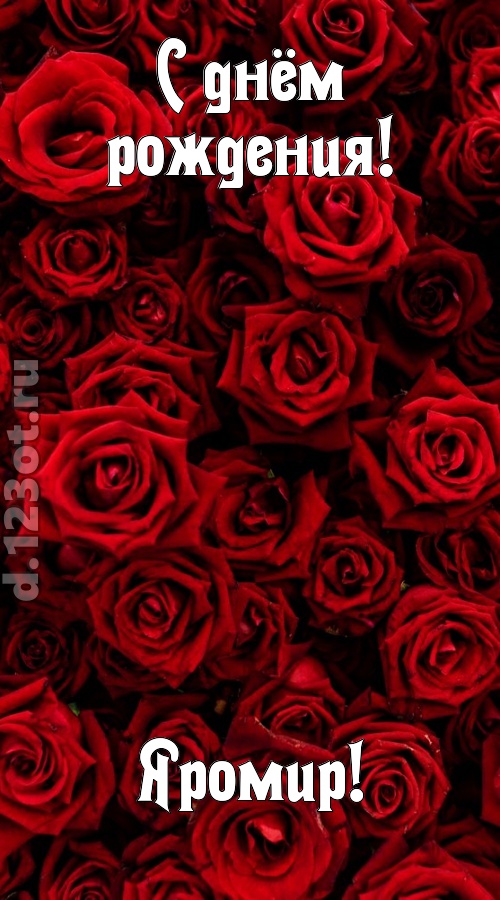 непостижимая открытка с днём рождения яромир, скачать онлайн бесплатно на iphone для вацап, поздравление яромир