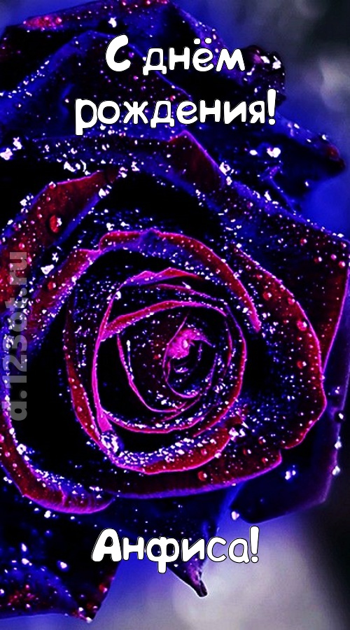 непостоянная открытка с днём рождения анфиса, скачать онлайн бесплатно на iphone для вацап, поздравление анфиса