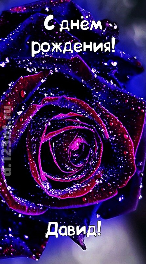 непостоянная открытка с днём рождения давид, скачать онлайн бесплатно на iphone для вацап, поздравление давид