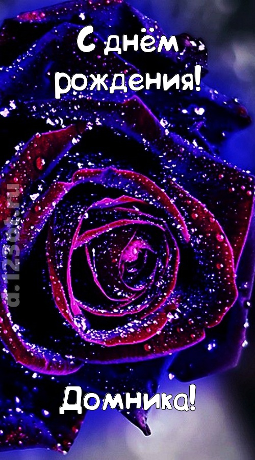 непостоянная открытка с днём рождения домника, скачать онлайн бесплатно на iphone для вацап, поздравление домника