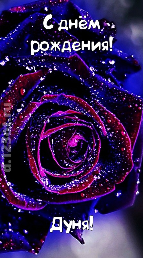 непостоянная открытка с днём рождения дуня, скачать онлайн бесплатно на iphone для вацап, поздравление дуня