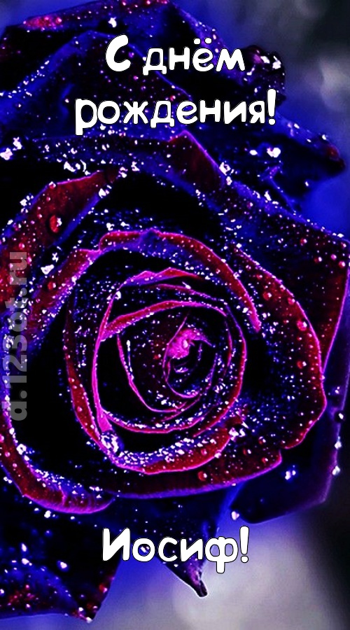непостоянная открытка с днём рождения иосиф, скачать онлайн бесплатно на iphone для вацап, поздравление иосиф