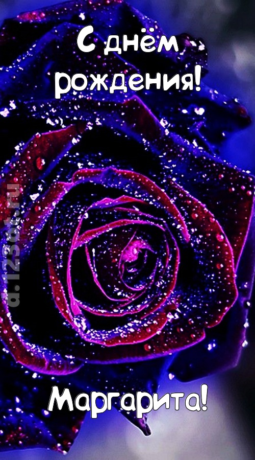непостоянная открытка с днём рождения маргарита, скачать онлайн бесплатно на iphone для вацап, поздравление маргарита