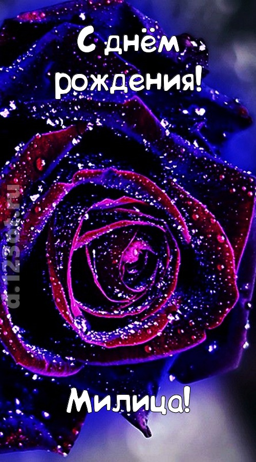 непостоянная открытка с днём рождения милица, скачать онлайн бесплатно на iphone для вацап, поздравление милица