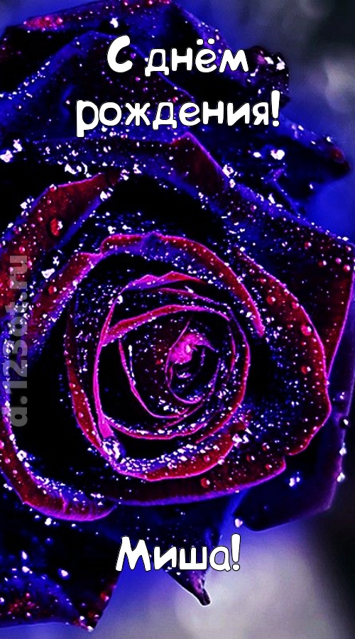 непостоянная открытка с днём рождения миша, скачать онлайн бесплатно на iphone для вацап, поздравление миша