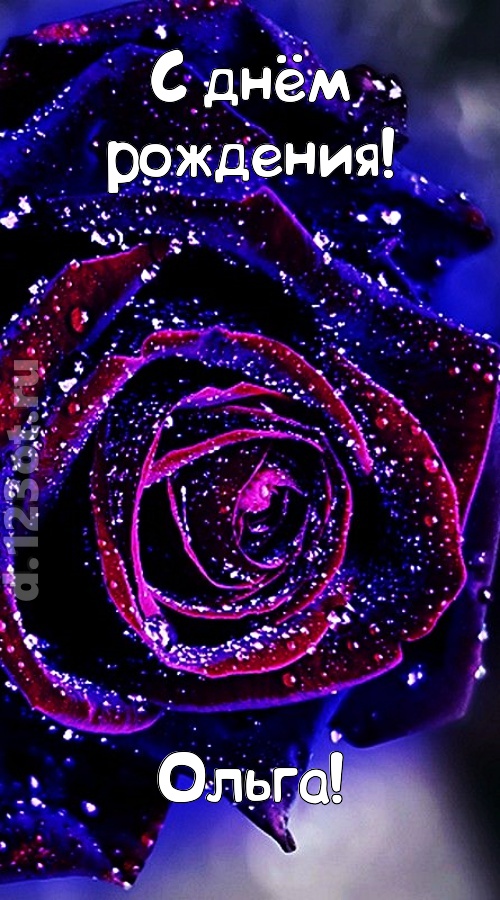 непостоянная открытка с днём рождения ольга, скачать онлайн бесплатно на iphone для вацап, поздравление ольга