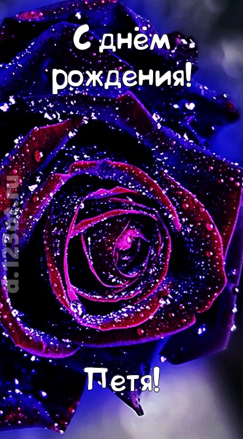 непостоянная открытка с днём рождения петя, скачать онлайн бесплатно на iphone для вацап, поздравление петя