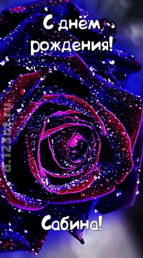 непостоянная открытка с днём рождения сабина, скачать онлайн бесплатно на iphone для вацап, поздравление сабина