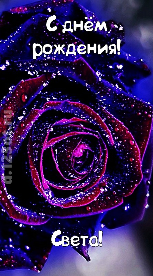 непостоянная открытка с днём рождения света, скачать онлайн бесплатно на iphone для вацап, поздравление света