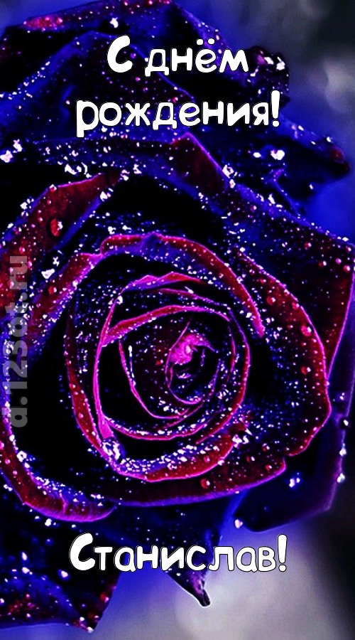 непостоянная открытка с днём рождения станислав, скачать онлайн бесплатно на iphone для вацап, поздравление станислав