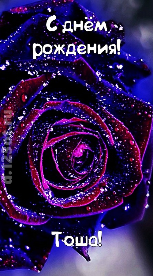 непостоянная открытка с днём рождения тоша, скачать онлайн бесплатно на iphone для вацап, поздравление тоша