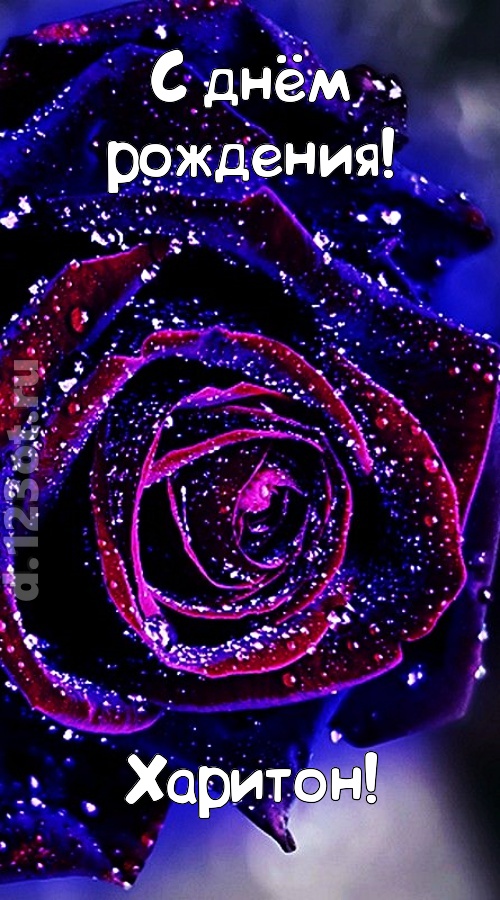 непостоянная открытка с днём рождения харитон, скачать онлайн бесплатно на iphone для вацап, поздравление харитон