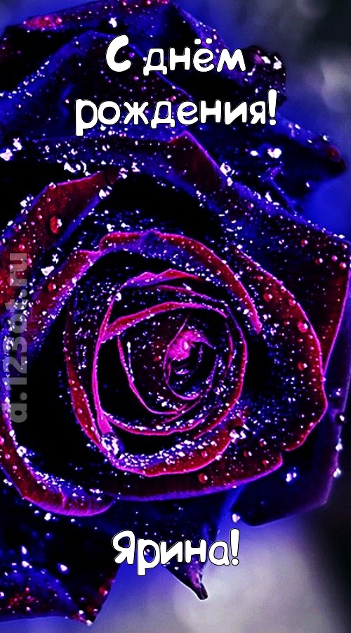 непостоянная открытка с днём рождения ярина, скачать онлайн бесплатно на iphone для вацап, поздравление ярина