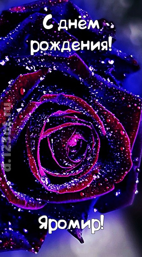 непостоянная открытка с днём рождения яромир, скачать онлайн бесплатно на iphone для вацап, поздравление яромир