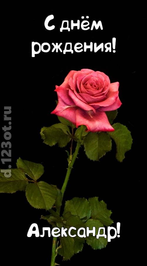 непредсказуемая открытка с днём рождения александр, скачать онлайн бесплатно на iphone для вацап, поздравление александр