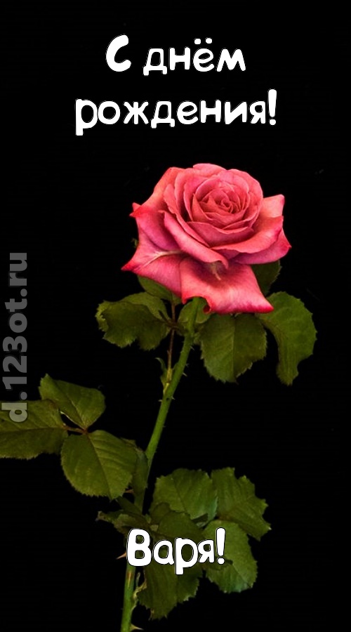 непредсказуемая открытка с днём рождения варя, скачать онлайн бесплатно на iphone для вацап, поздравление варя