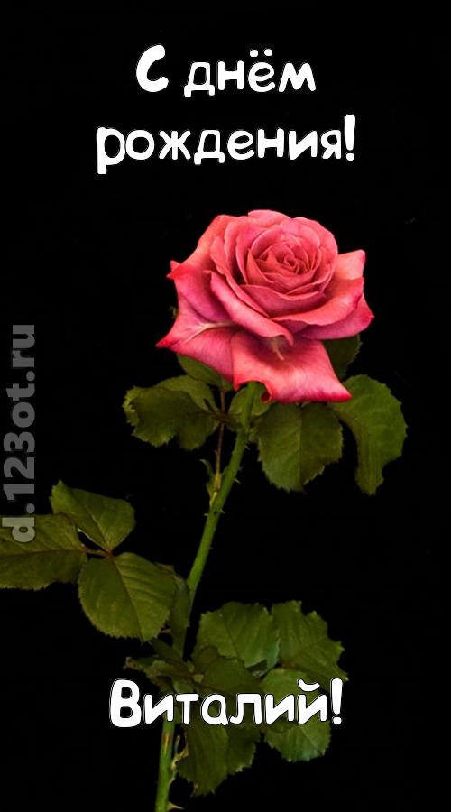 непредсказуемая открытка с днём рождения виталий, скачать онлайн бесплатно на iphone для вацап, поздравление виталий