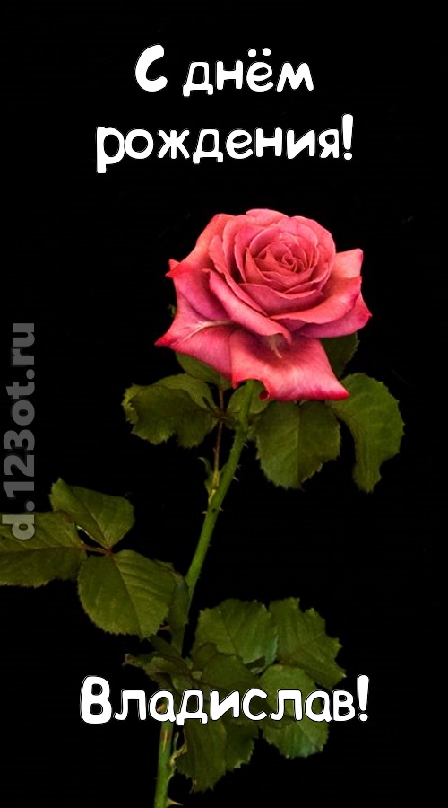 непредсказуемая открытка с днём рождения владислав, скачать онлайн бесплатно на iphone для вацап, поздравление владислав