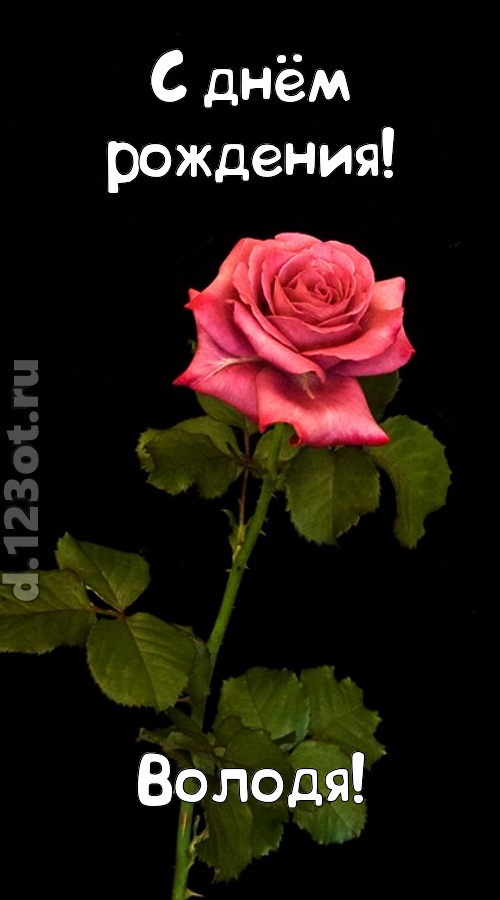 непредсказуемая открытка с днём рождения володя, скачать онлайн бесплатно на iphone для вацап, поздравление володя