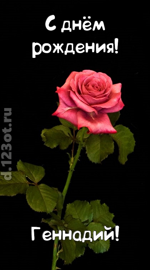 непредсказуемая открытка с днём рождения геннадий, скачать онлайн бесплатно на iphone для вацап, поздравление геннадий
