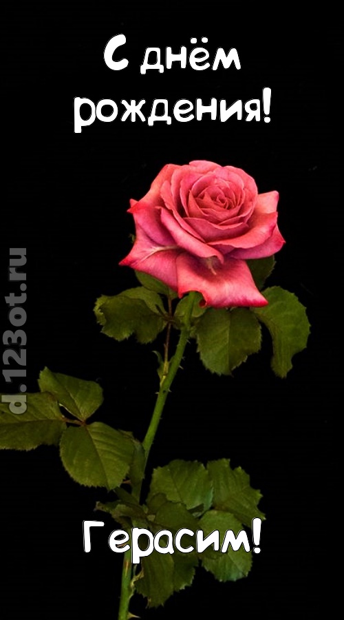 непредсказуемая открытка с днём рождения герасим, скачать онлайн бесплатно на iphone для вацап, поздравление герасим