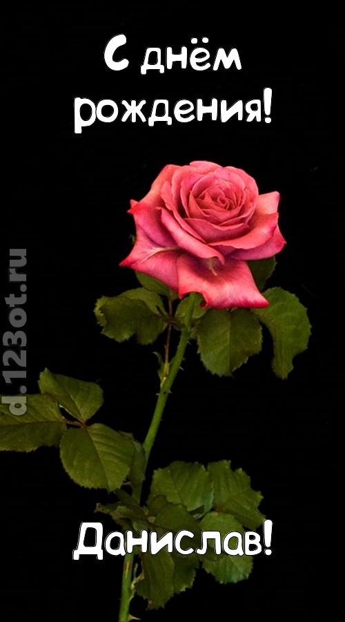 непредсказуемая открытка с днём рождения данислав, скачать онлайн бесплатно на iphone для вацап, поздравление данислав